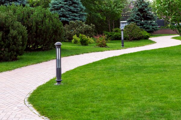 Backyard Sidewalk Installation in Pearland