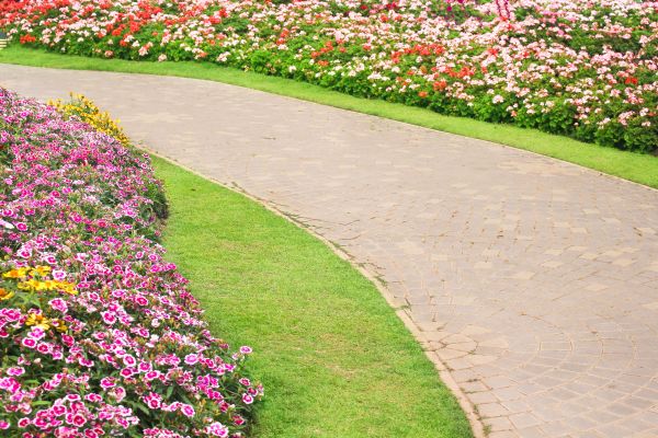 Concrete Walkway Service in Pearland