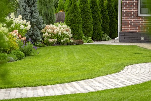 Landscape Walkway Installation in Pearland